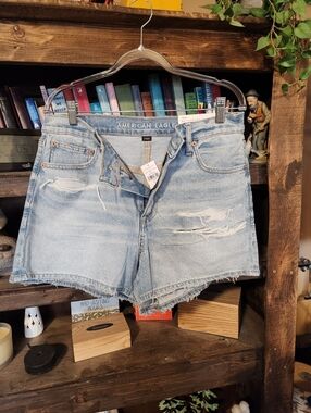 American Eagle Outfitters Light Wash Distressed Denim Cutoff Shorts